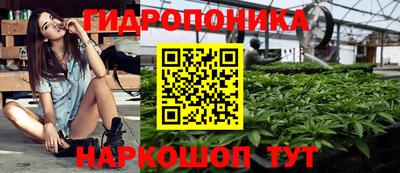 гидра Будённовск