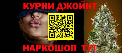 гидра Будённовск